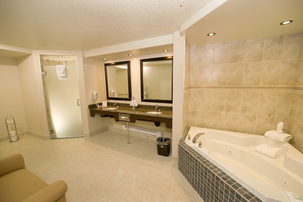 Holiday Inn Hotel & Suites West Edmonton 17/62