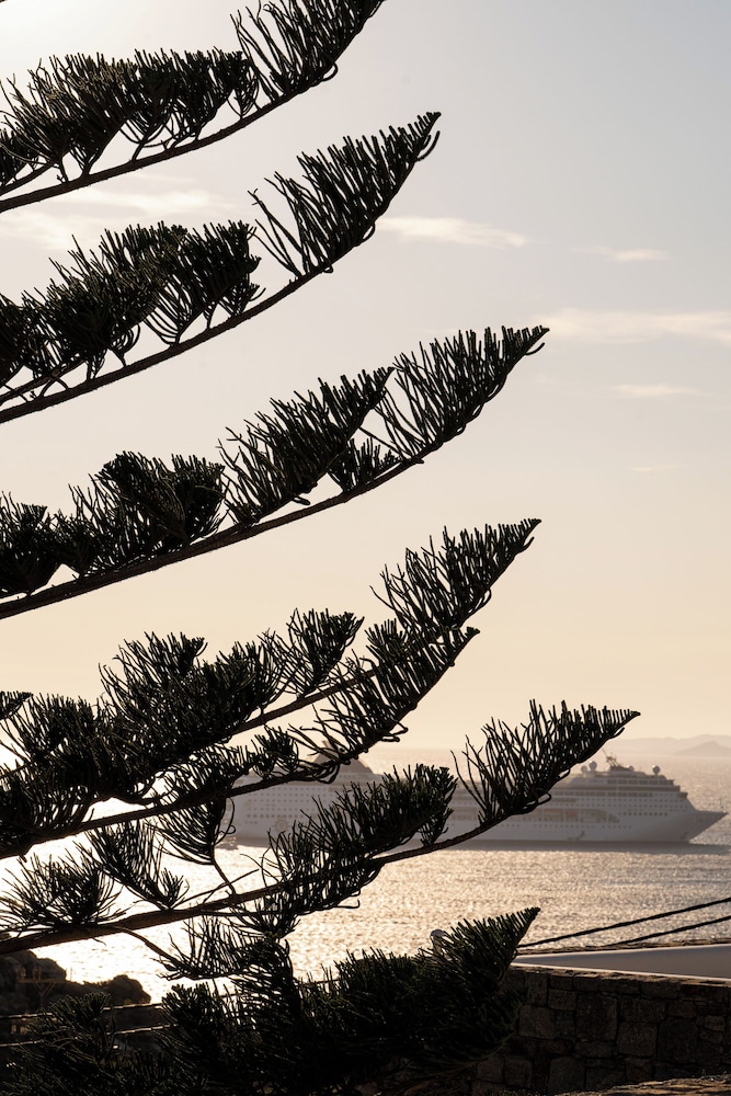 Arocaria Hotel Mykonos 45/49