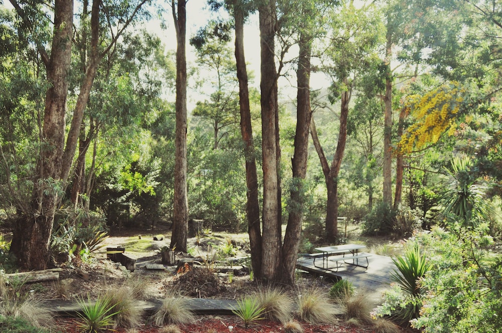 Oyster Cove Chalets 25/42