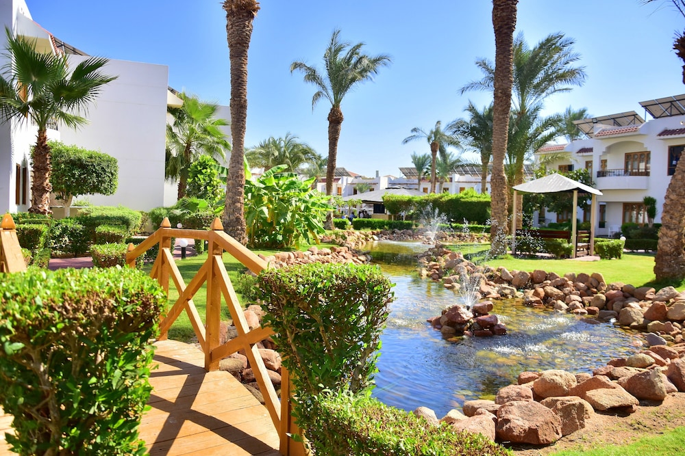 Dive Inn Resort 97/107