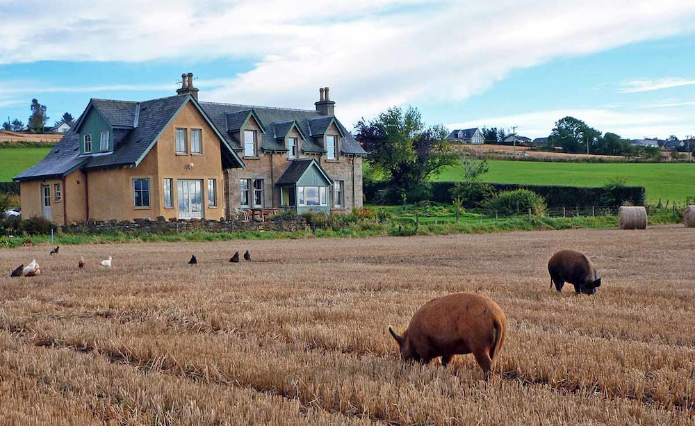 Netherton Farm B&B 22/27