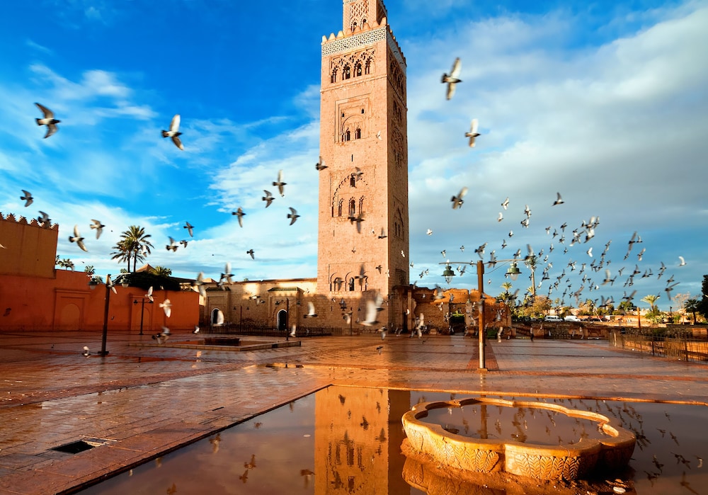 Riad Al Jana 41/50