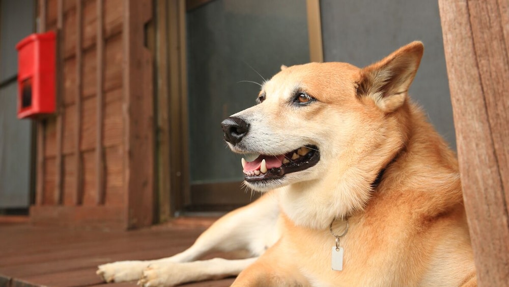 スターライトテラス照屋 写真5