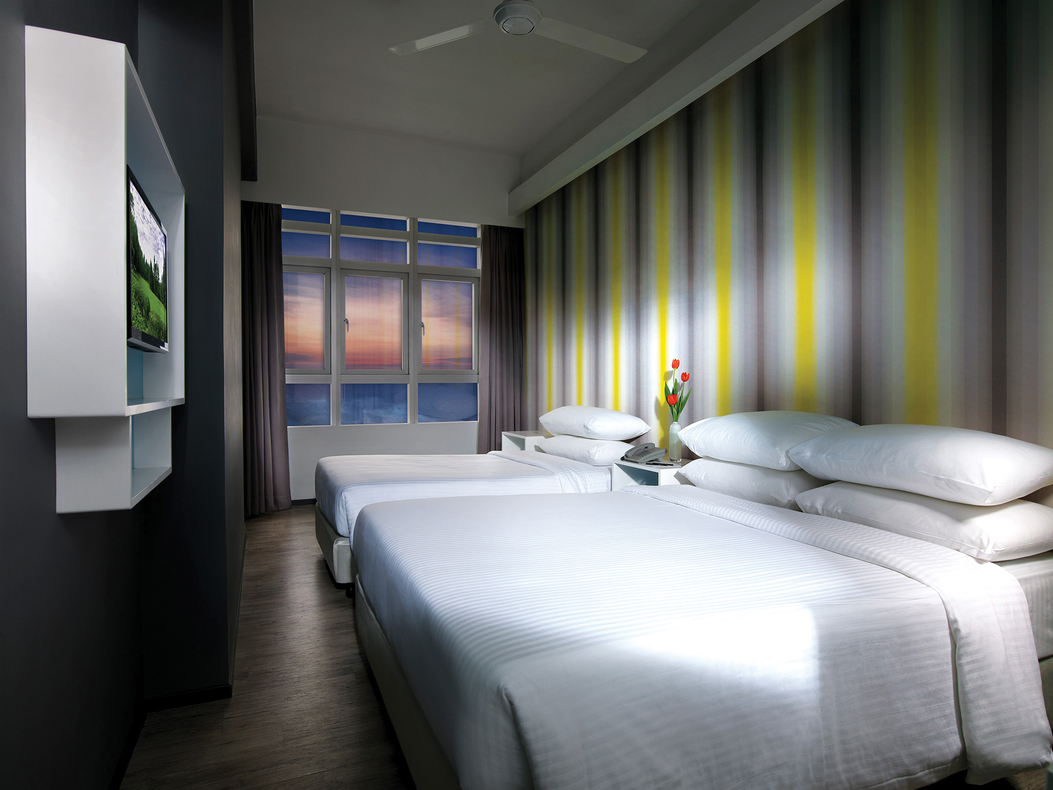 Triple  Room