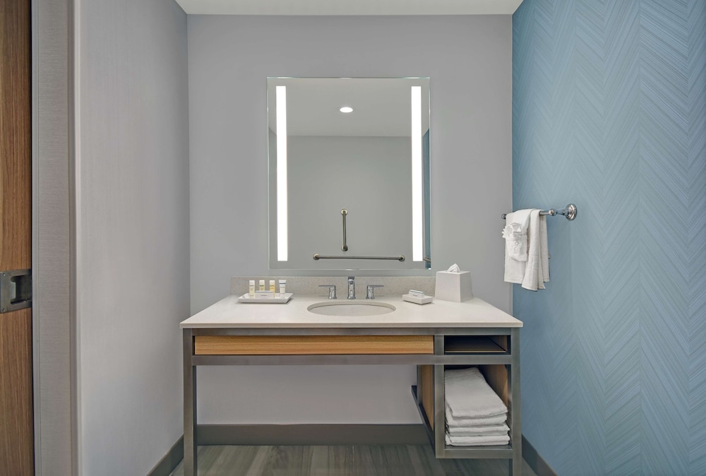 Hilton Garden Inn Houston Medical Center 20/57