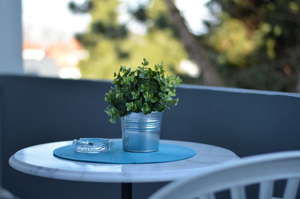 neu heidelberg guesthouse and apartments