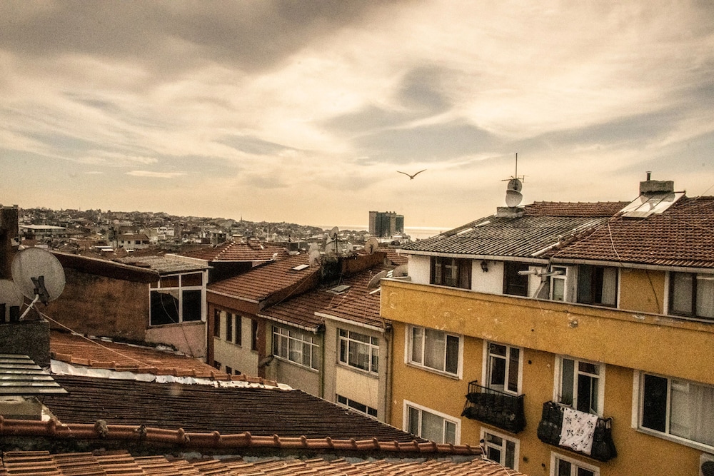 Yolohostel 41/46