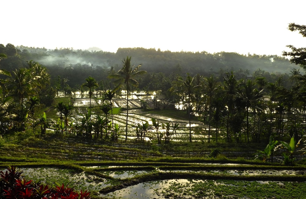 Ijen Resort 55/65