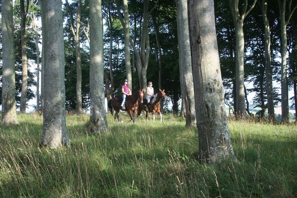 Hollamoor Farm B&B 30/50