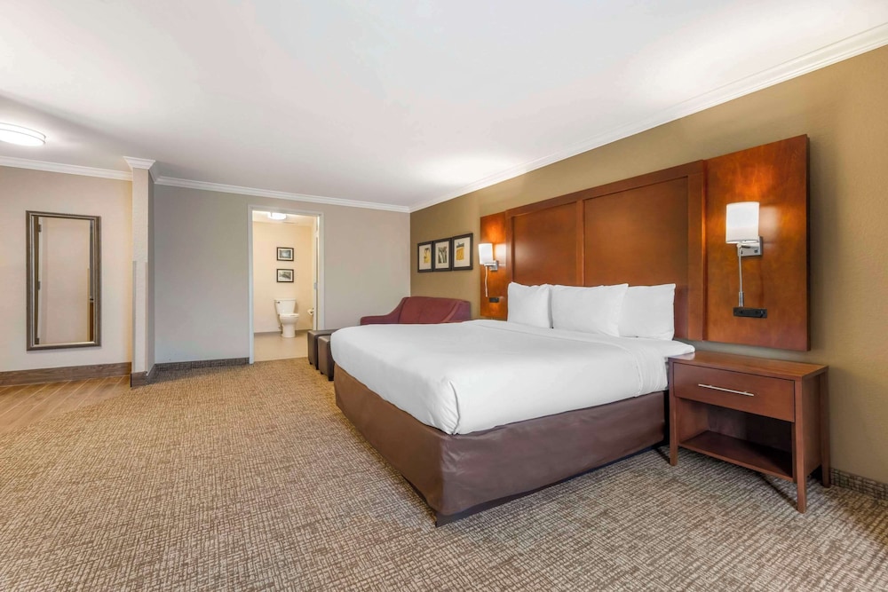 Suite, King Bed, Sofa