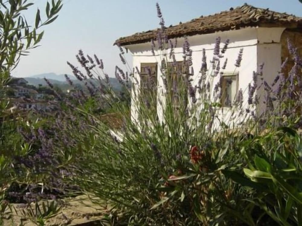 Terrace Houses Sirince - Fig, Olive and Grapevine 43/48