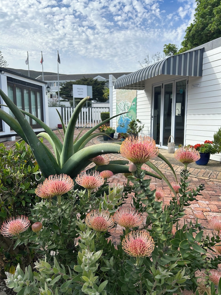 Sixteen Guest Lodge on Main 5/72