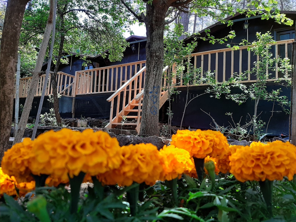 Altaris Bungalows Olympos 3/19