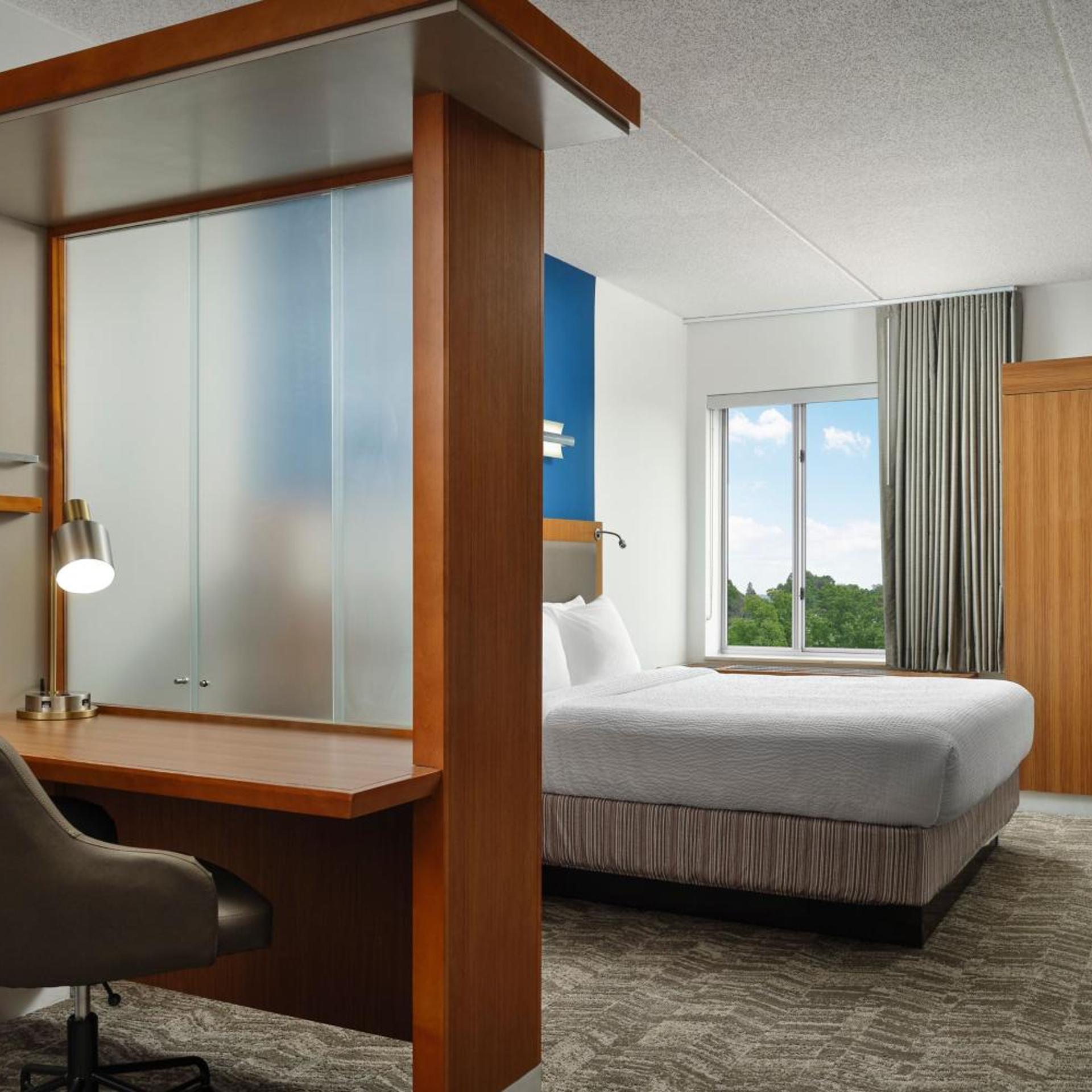 جناح بسرير كينج مع سرير سحّاب إضافي مع أريكة لذوي الإعاقة