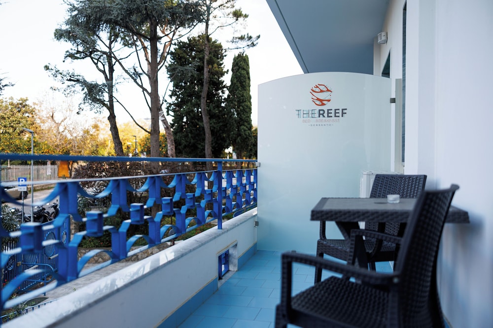 The Reef 28/50