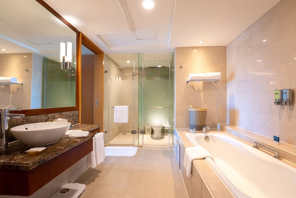 PARK PLAZA BEIJING WANGFUJING 69/69