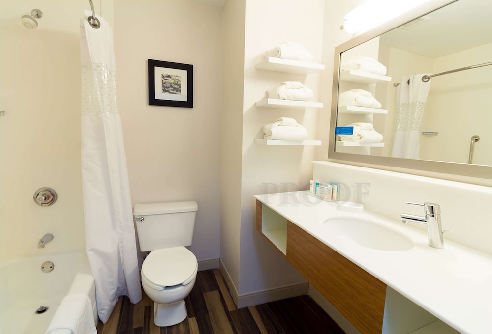 Hampton Inn Sevierville 23/43
