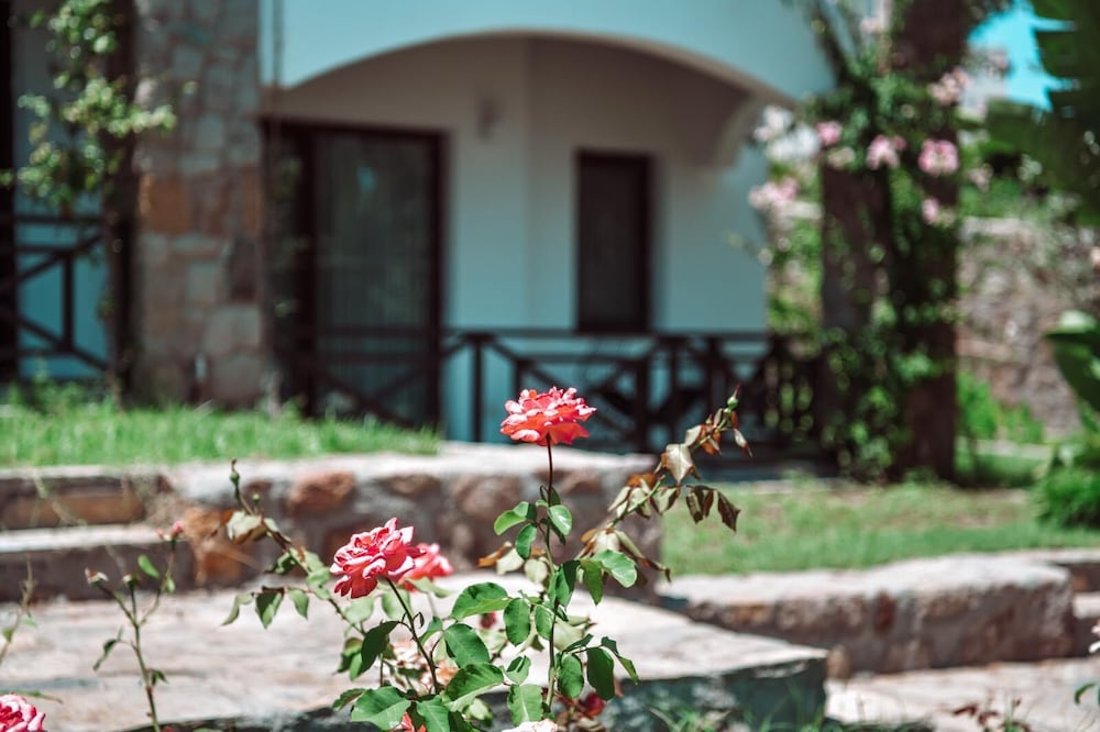 Amore Boutique Hotel 41/50