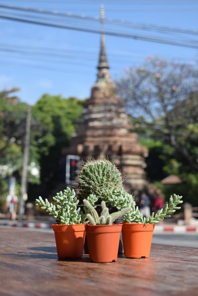 See You Soon Chiangmai 64/69