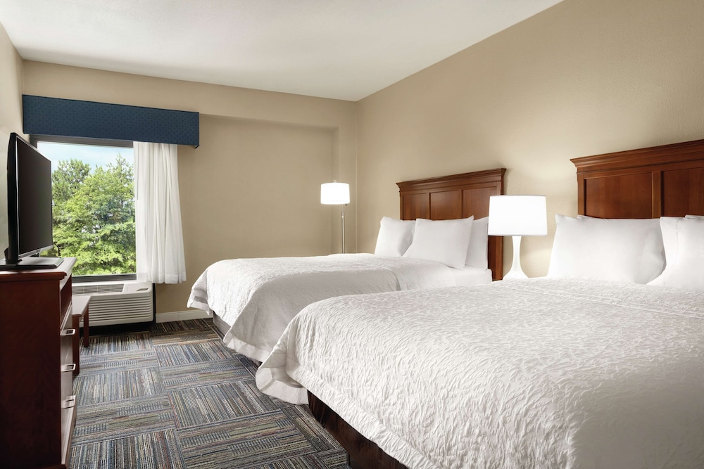 Hampton Inn Atlanta Stone Mountain 12/41