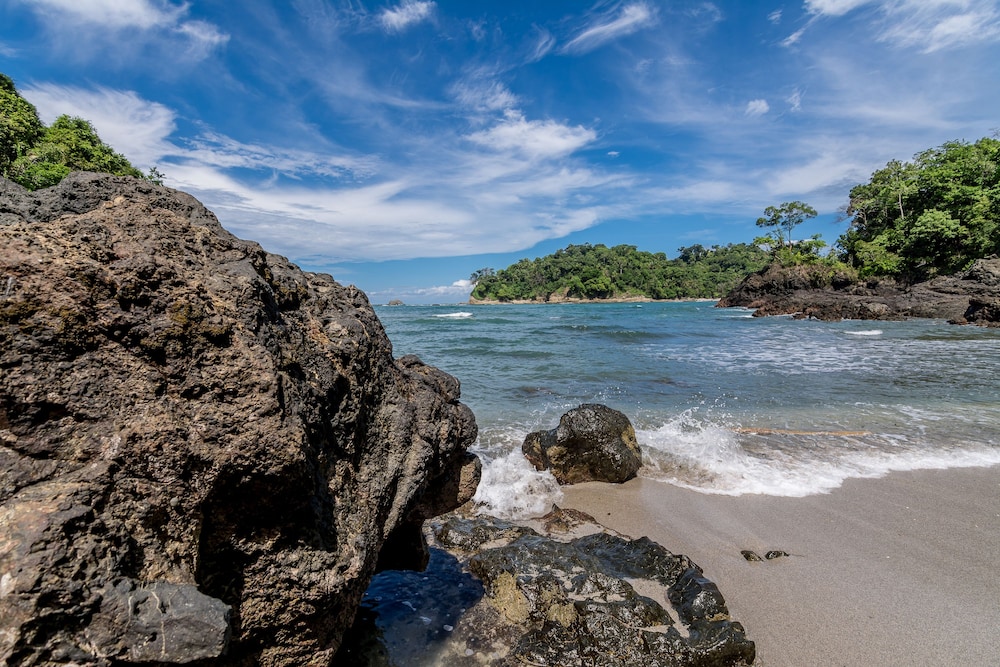 Manuel Antonio 39/49
