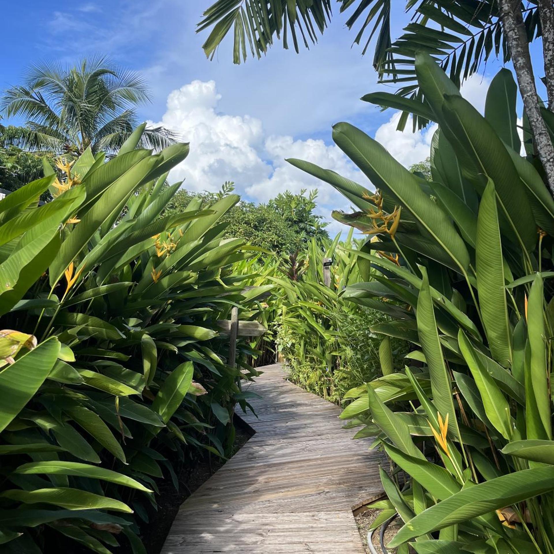 Eden Paradise Spa Ecolodge 32/52