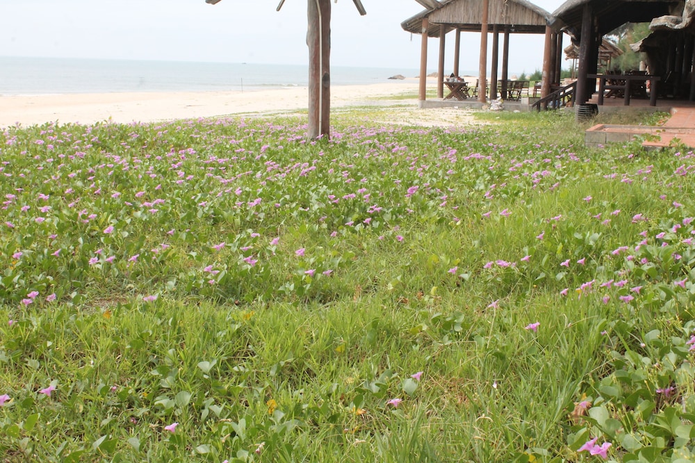 Doi Su Resort 45/65