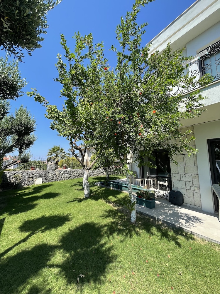 Dalyan Risus Suite 20/25