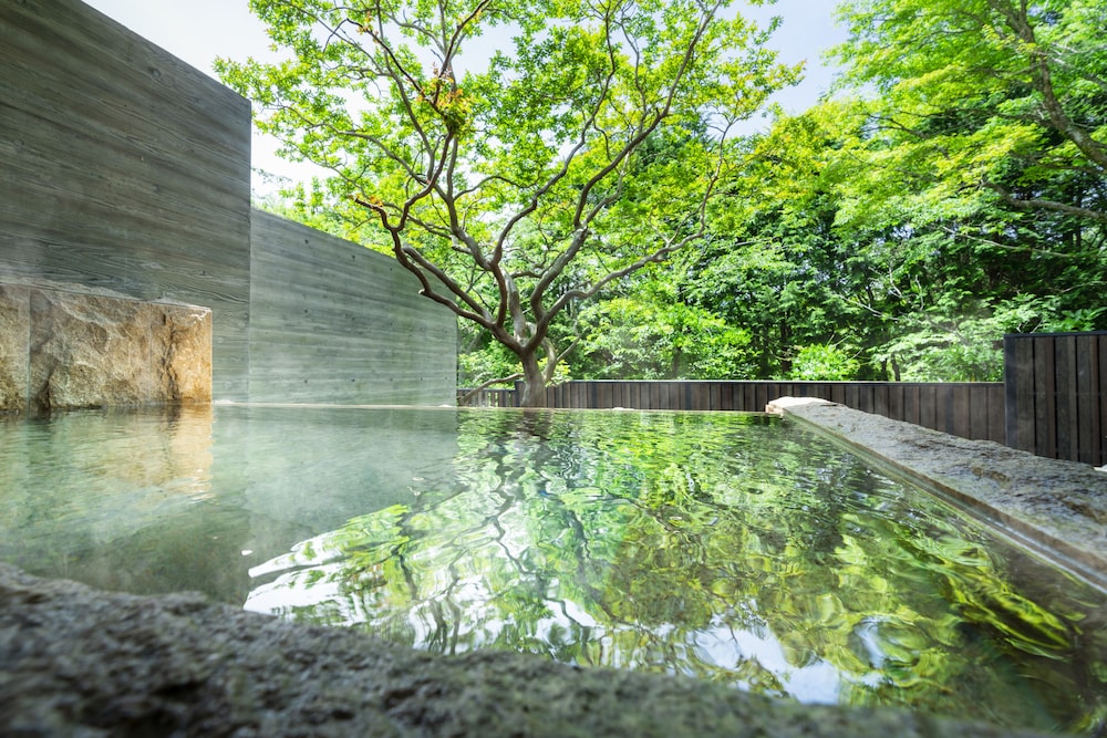 Hoshino Resorts KAI Sengokuhara 25/50