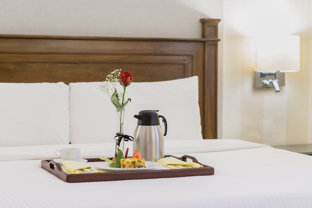 Gamma Monterrey Gran Hotel Ancira 10/75