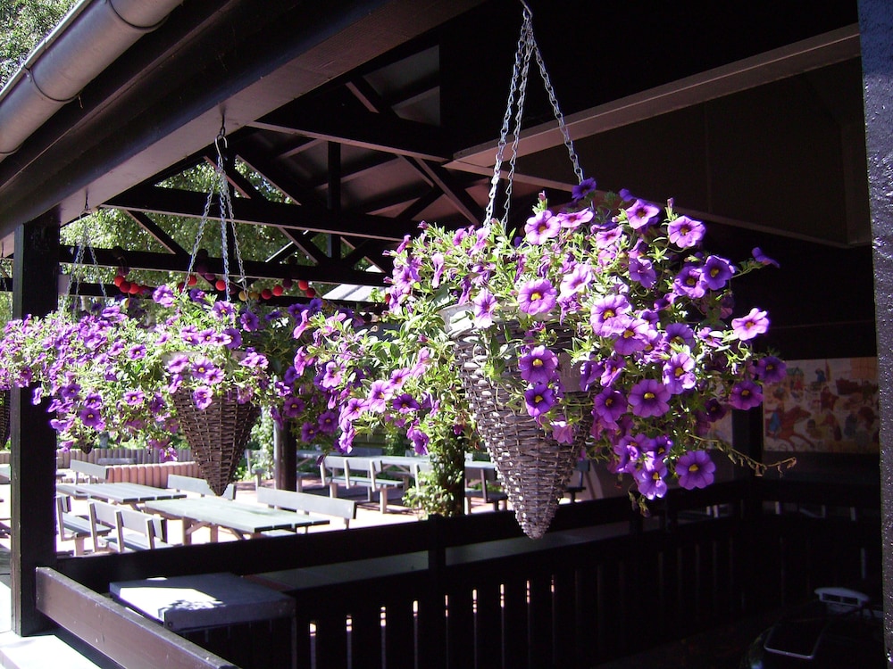 Ribe Byferie Resort 33/39