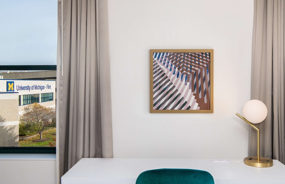 Hilton Garden Inn Flint Downtown 27/54