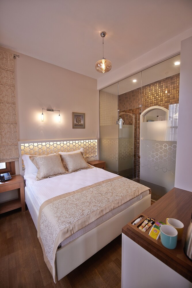 Arart Hotel 16/37
