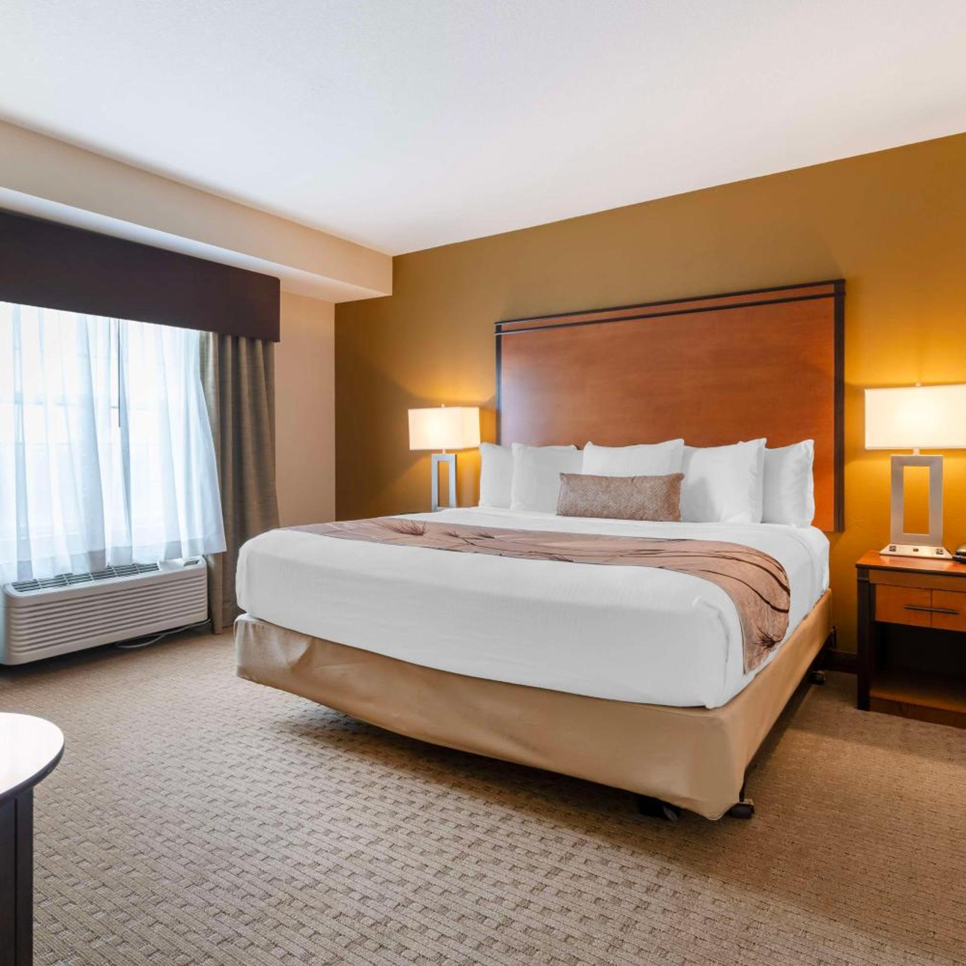 1 Bedroom, Suite, King Bed, Large