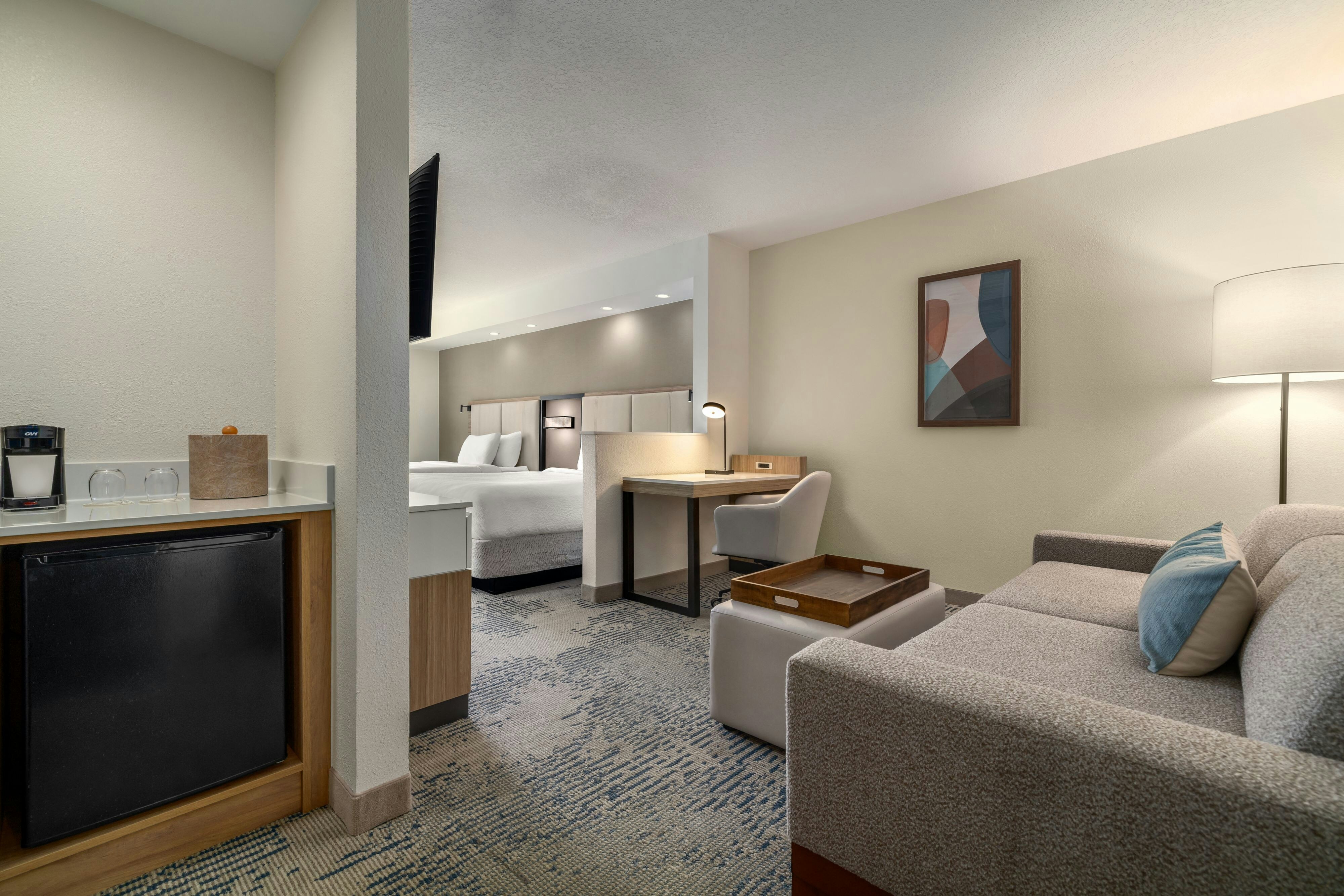 Springhill Suites Tampa Brandon 42/60
