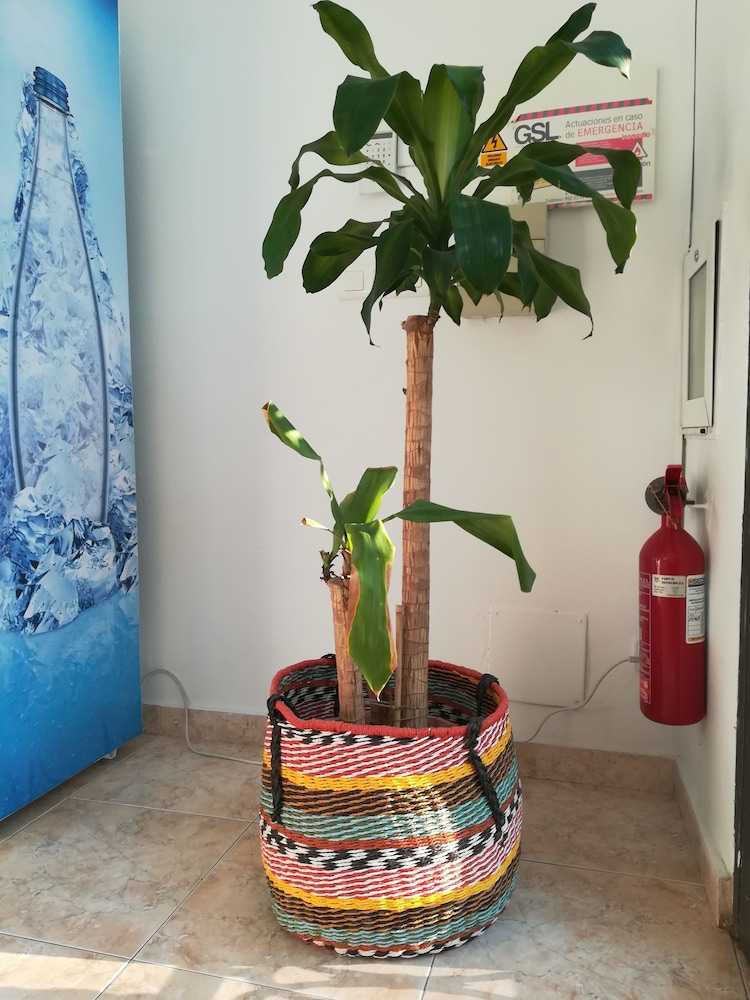 La Moraga De Poniente Malaga Hostel 31/71