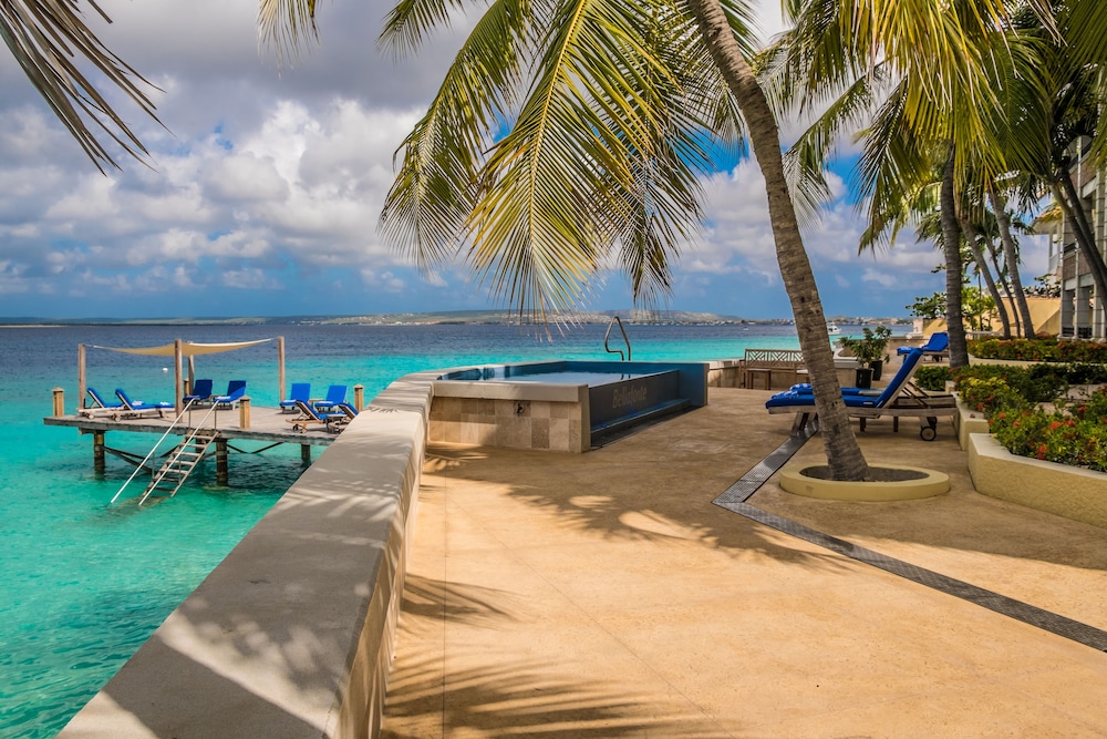 The Bellafonte - Luxury Oceanfront Hotel 32/50