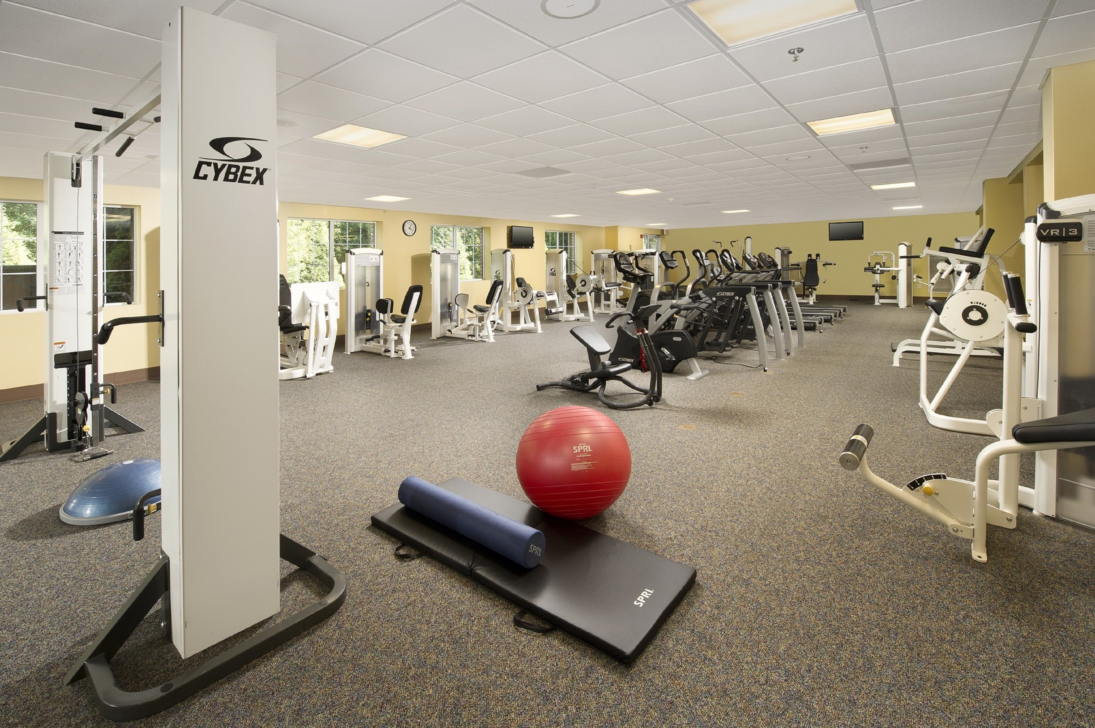 HOLIDAY INN EXPRESS & SUITES CHARLOTTESVILLE - RUCKERSVILLE 30/54