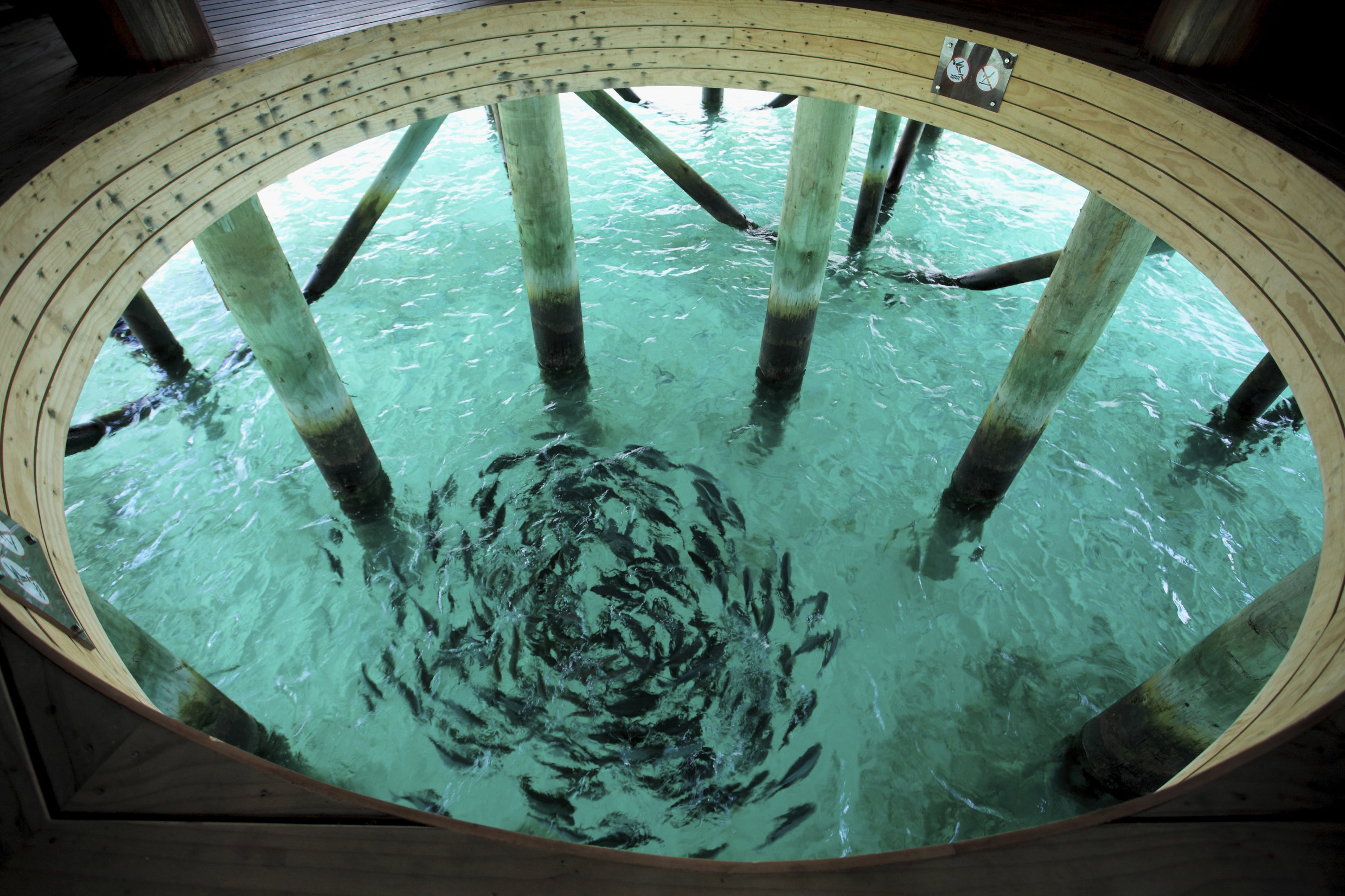 Centara Ras Fushi Resort and Spa Maldives - Adults Only 47/77