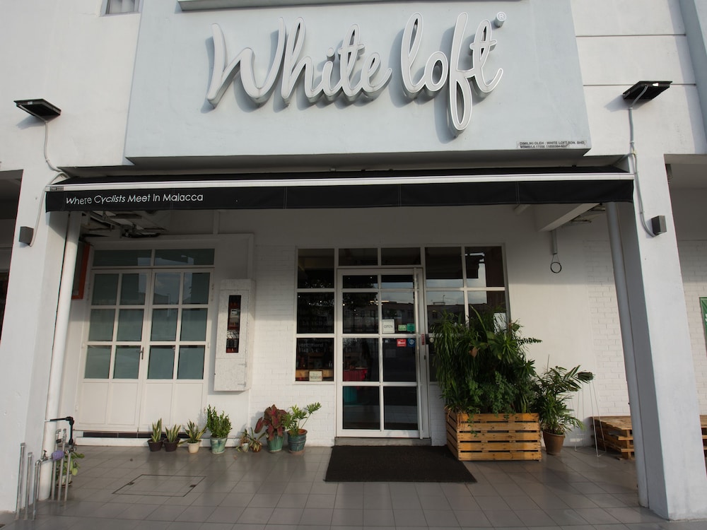 White Loft 2/38