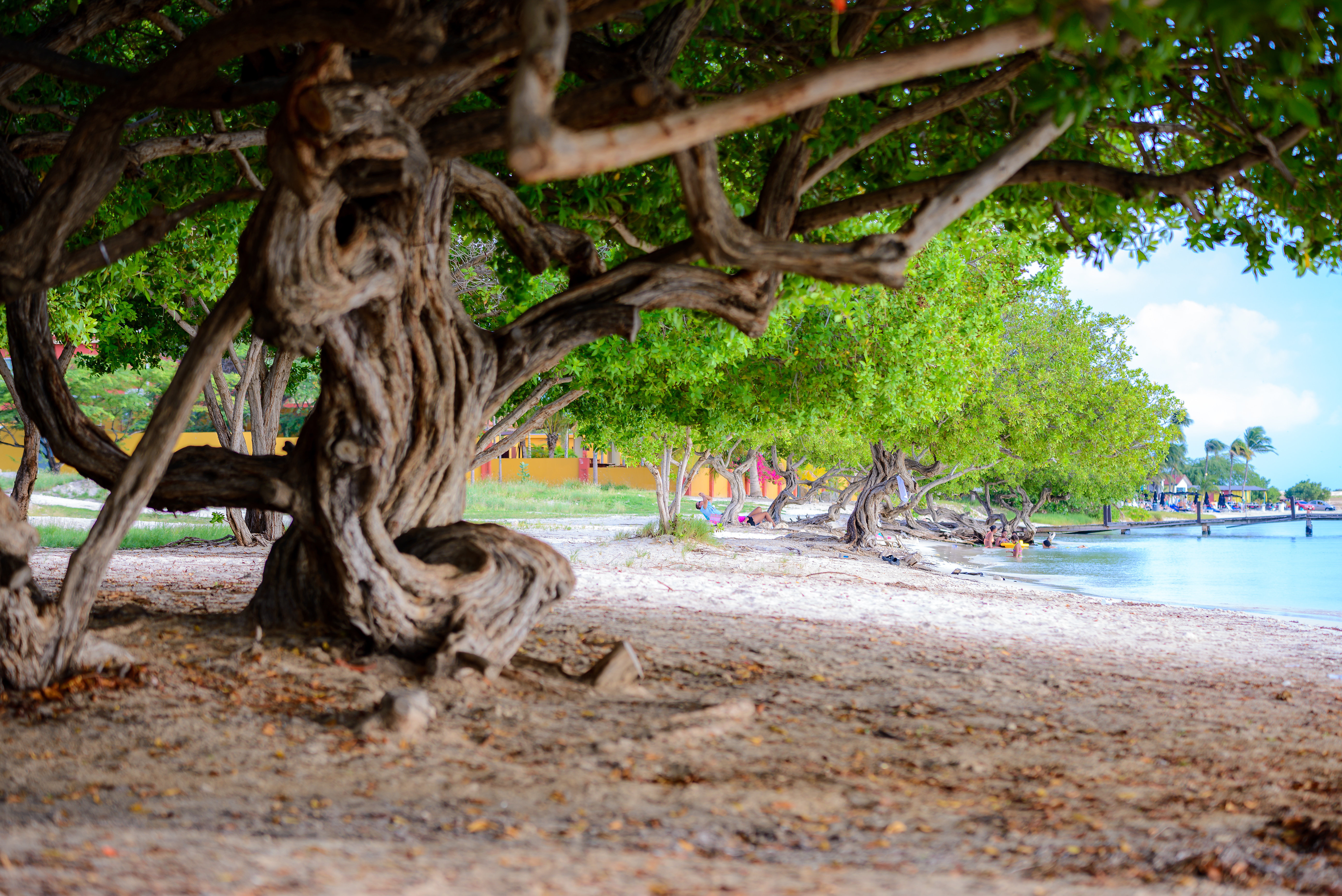 Voco Surfside Aruba by IHG 86/90