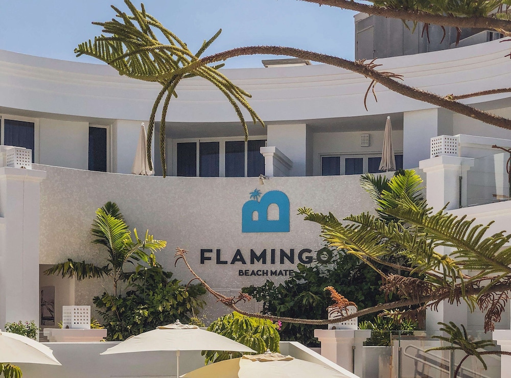 Flamingo Beach Mate 10/75