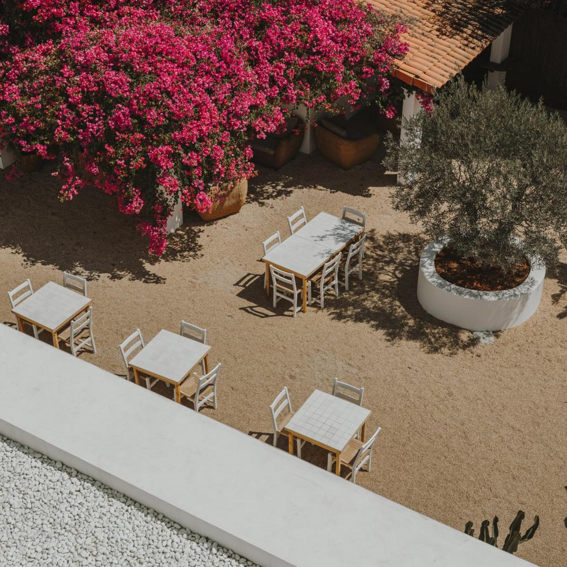 Hotel Ibara Ibiza 55/61