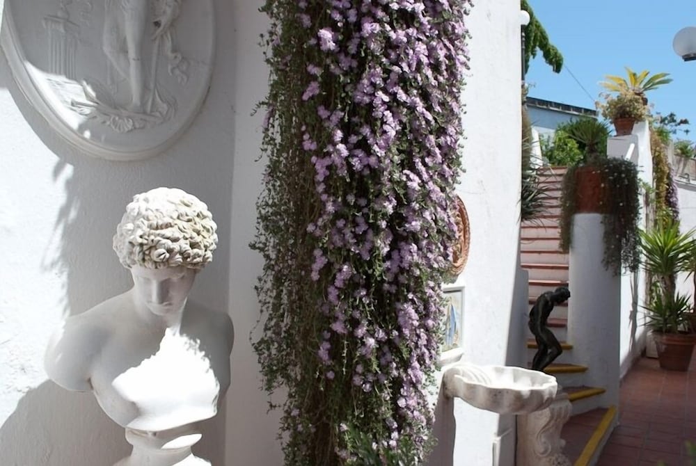 Belsole Ischia酒店(Hotel Belsole Ischia) 图片4