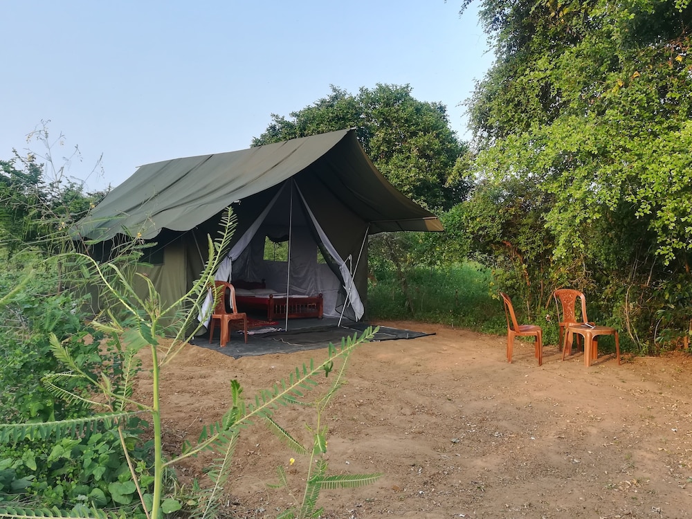 Wild Eco Safari 7/22
