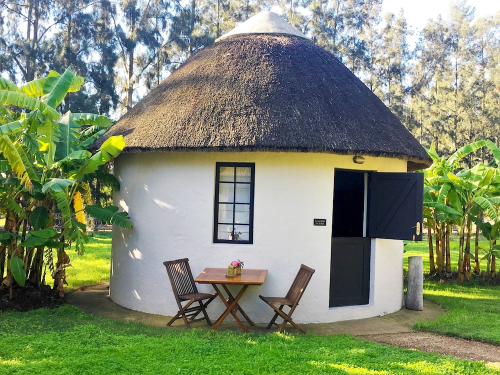 Addo African Home 1/50