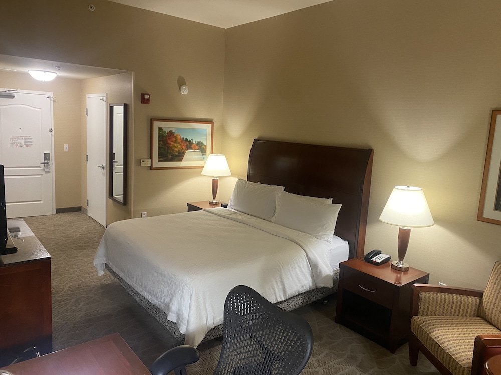 Evolution, King Bed، Hilton Garden Inn Palmdale 6/10