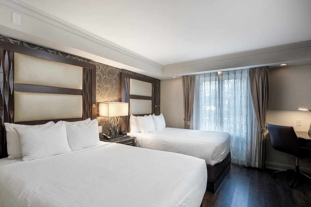 SUITE, MULTIPLE BEDS, SOFA