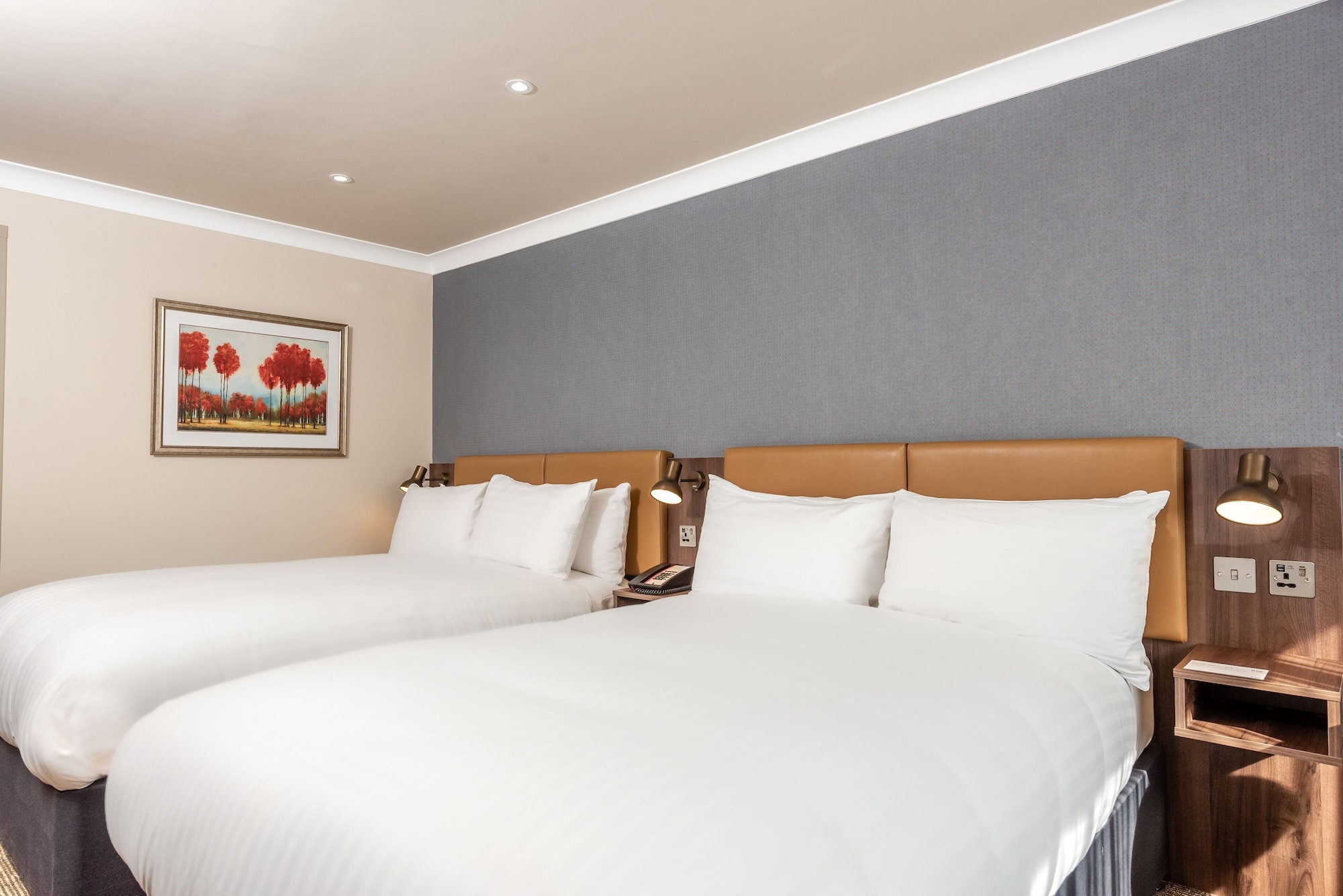 Standard, 2 Double Beds