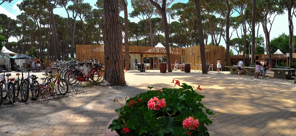 Hotel Il Mulinaccio 49/66